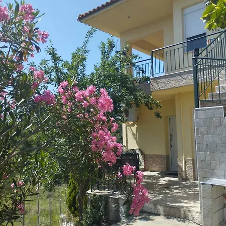 Platskos Vol 2 Apartman *